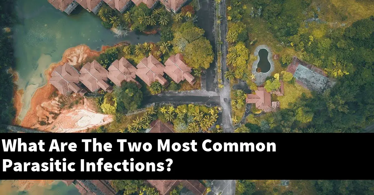 What Are The Two Most Common Parasitic Infections?