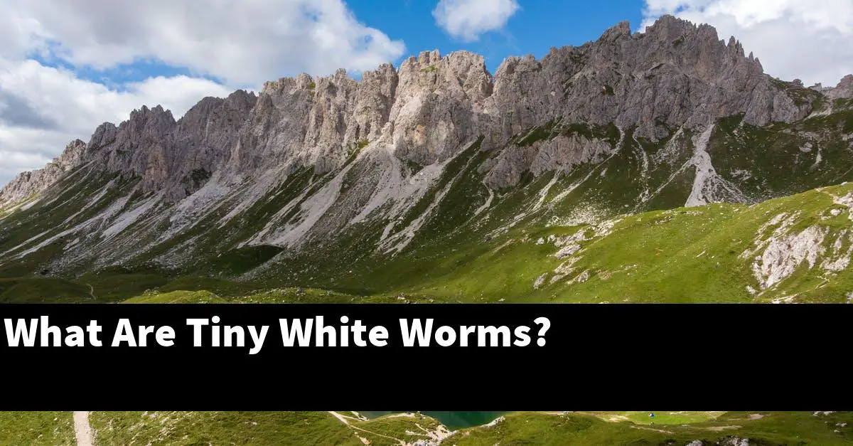 What Are Tiny White Worms?