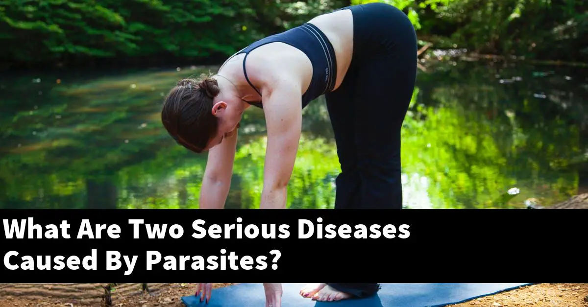 What Are Two Serious Diseases Caused By Parasites?