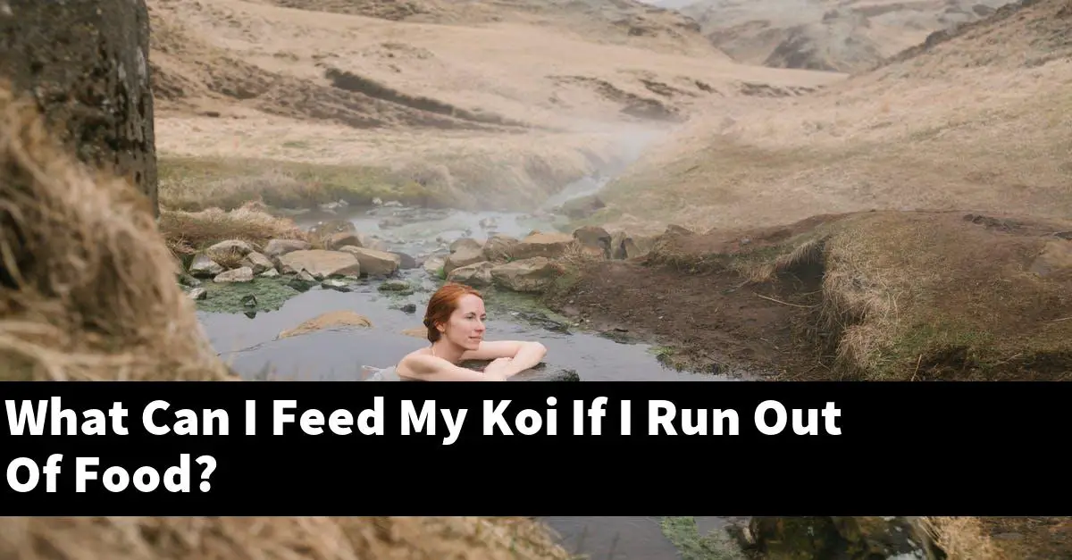 What Can I Feed My Koi If I Run Out Of Food?