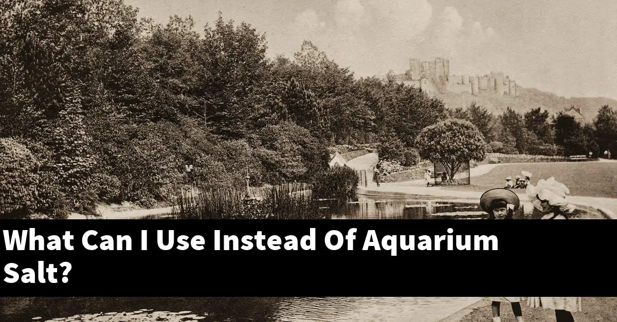 What Can I Use Instead Of Aquarium Salt?