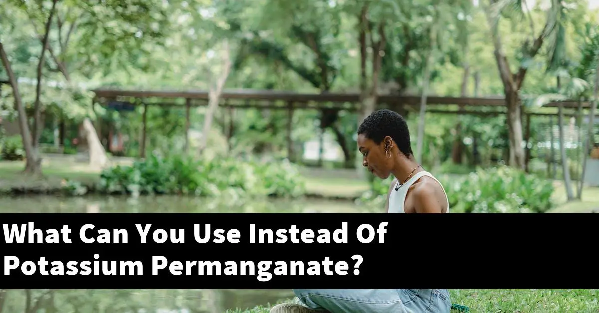 What Can You Use Instead Of Potassium Permanganate?