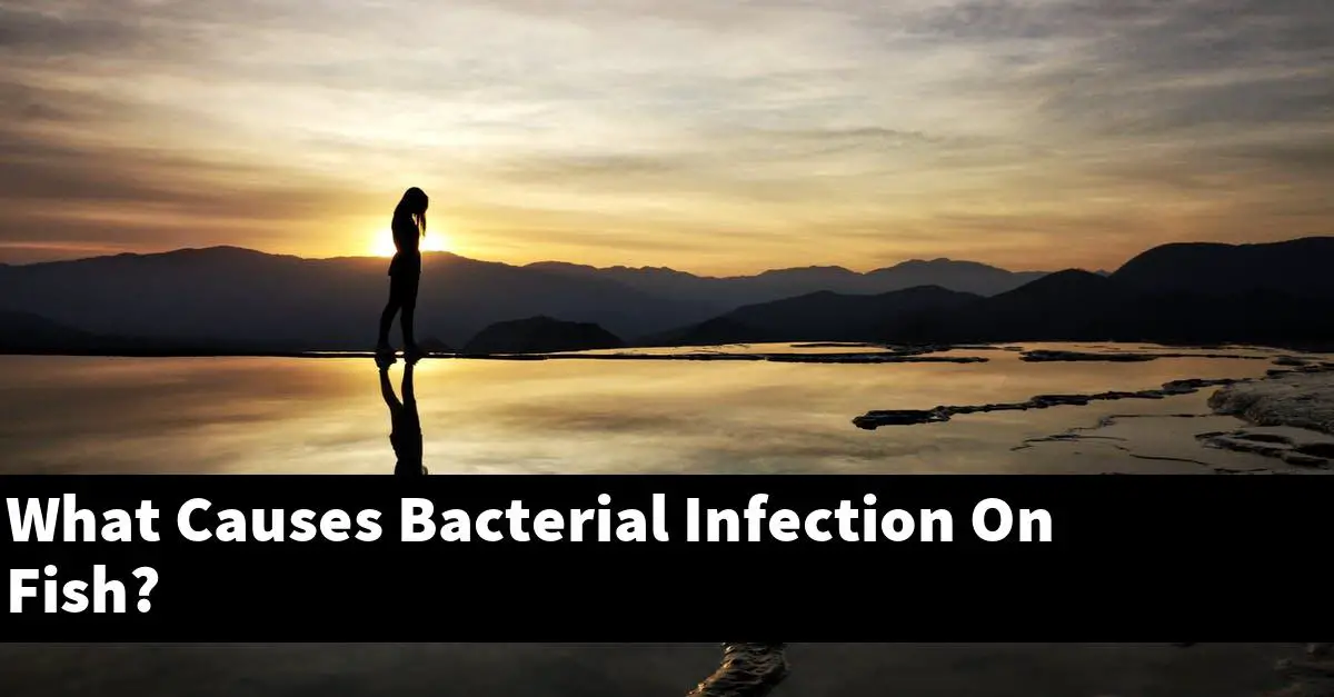 What Causes Bacterial Infection On Fish?
