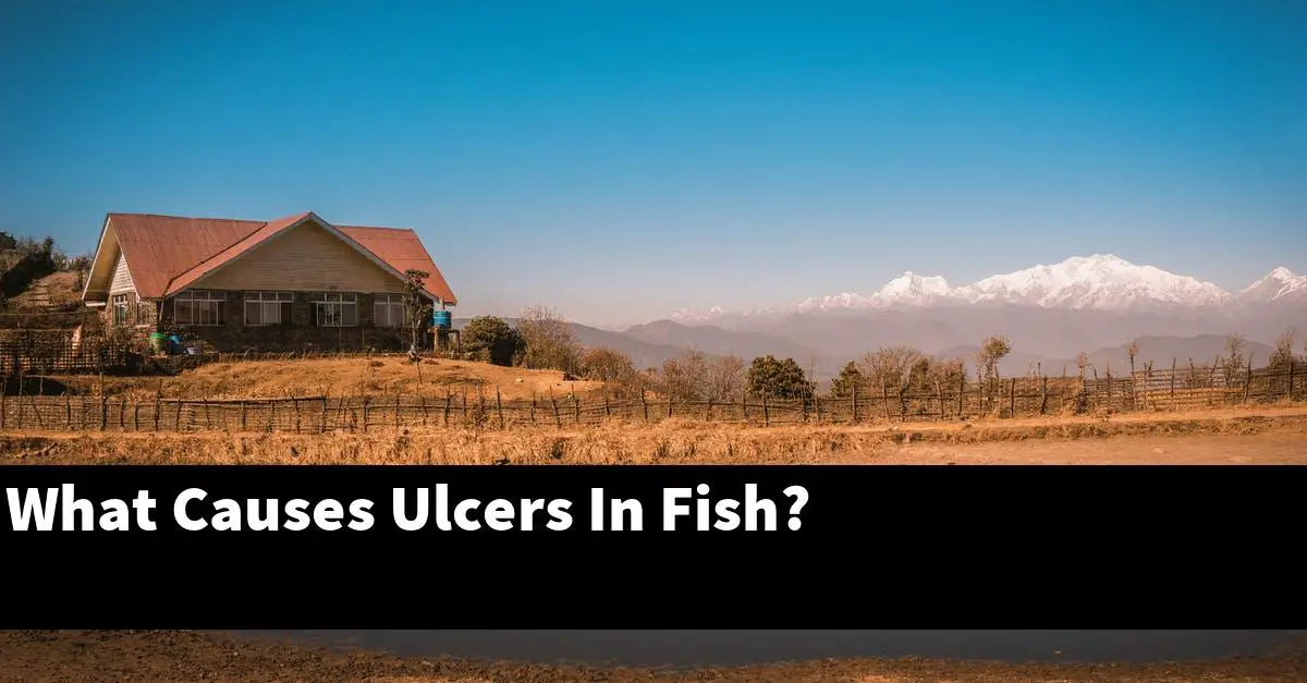 What Causes Ulcers In Fish?