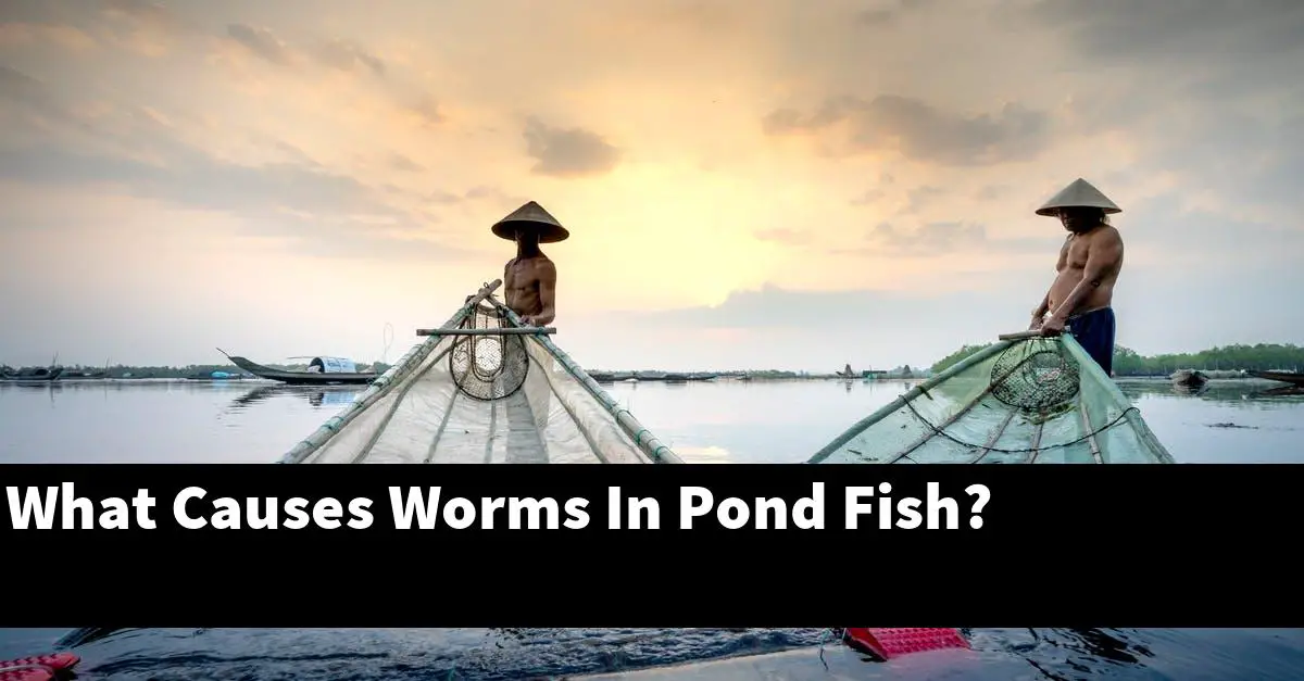 What Causes Worms In Pond Fish?