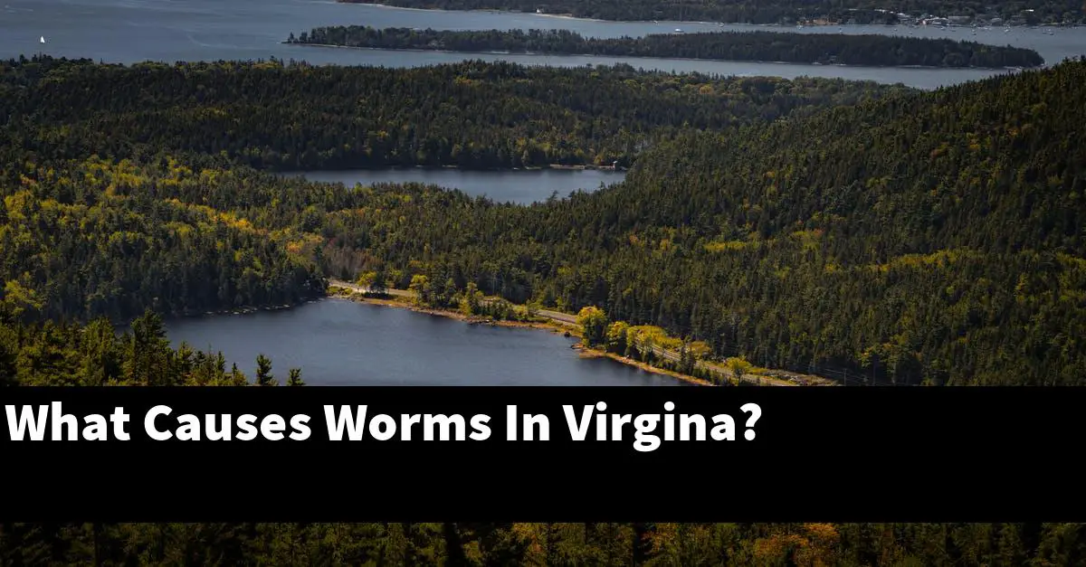 What Causes Worms In Virgina?
