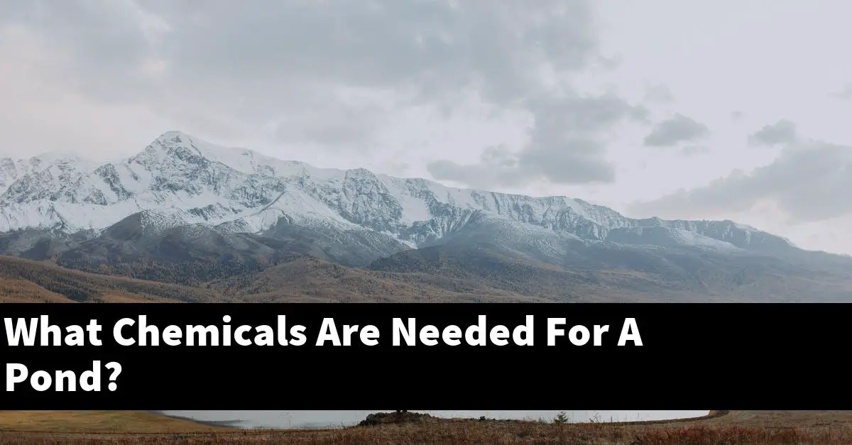 What Chemicals Are Needed For A Pond?