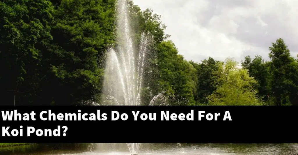 What Chemicals Do You Need For A Koi Pond? [2024 Guide] Gold Koi Fish