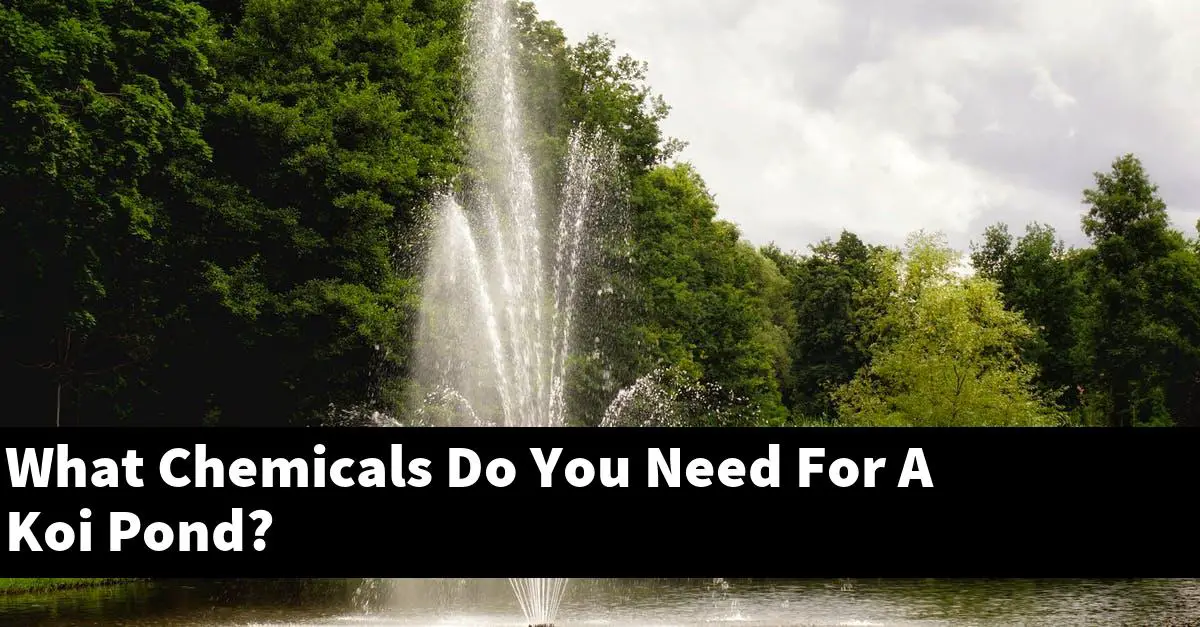 What Chemicals Do You Need For A Koi Pond?