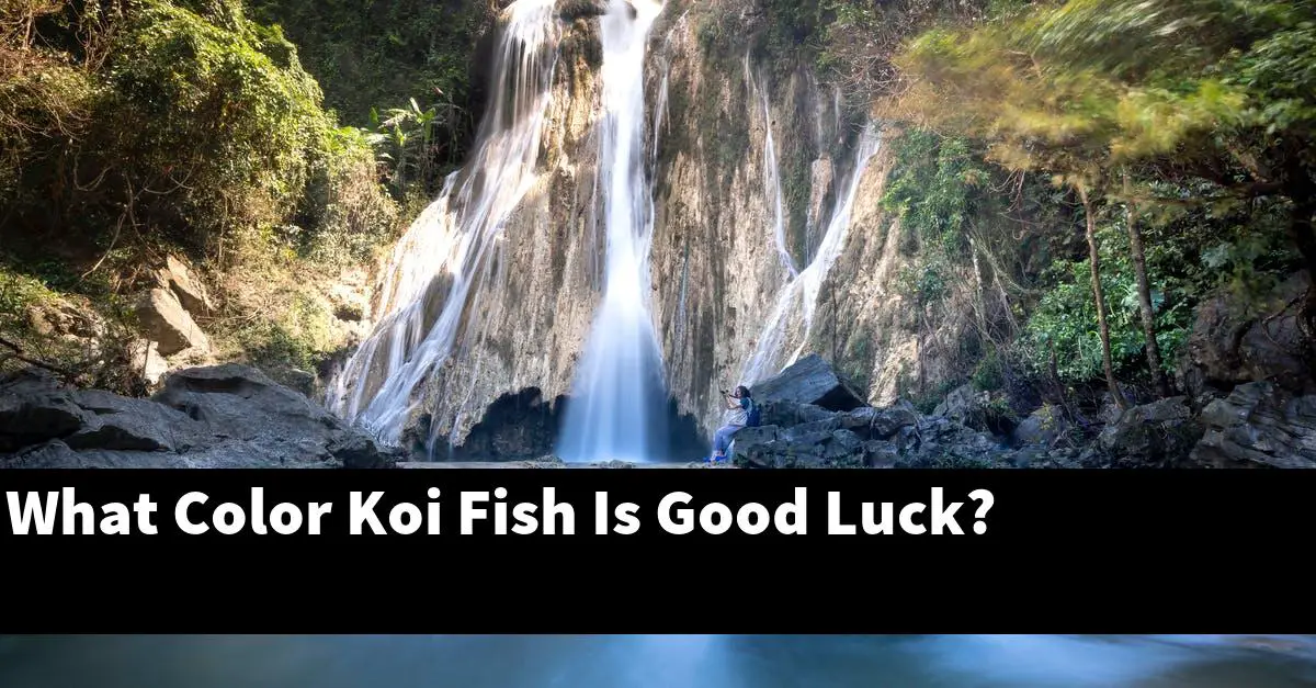What Color Koi Fish Is Good Luck?