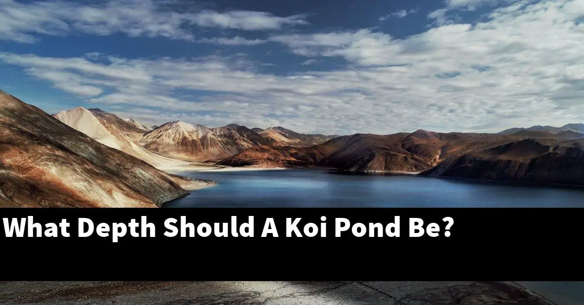 What Depth Should A Koi Pond Be?