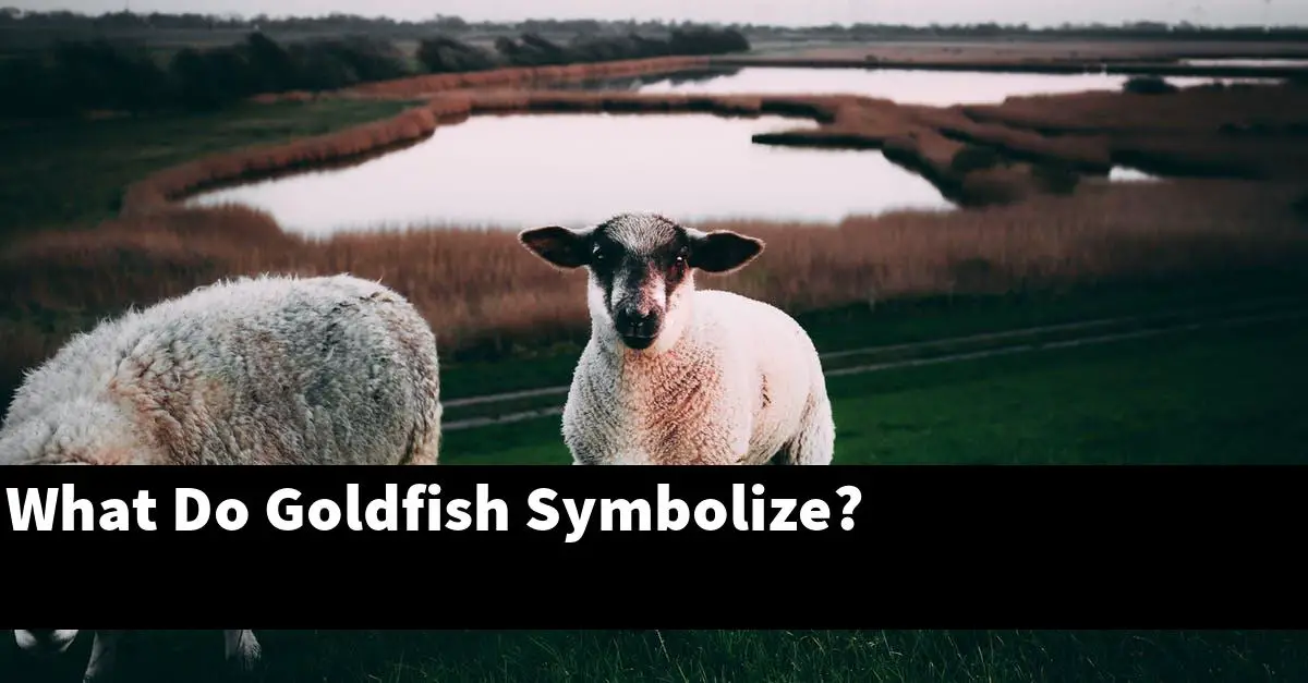 What Do Goldfish Symbolize?