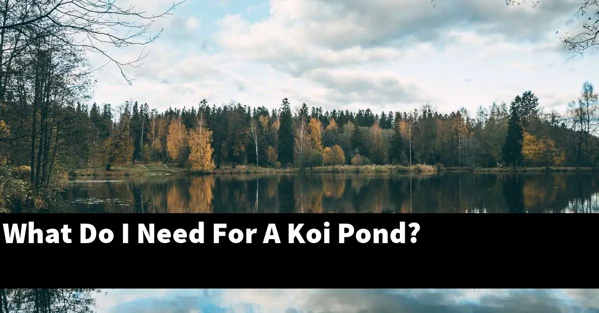 What Do I Need For A Koi Pond?