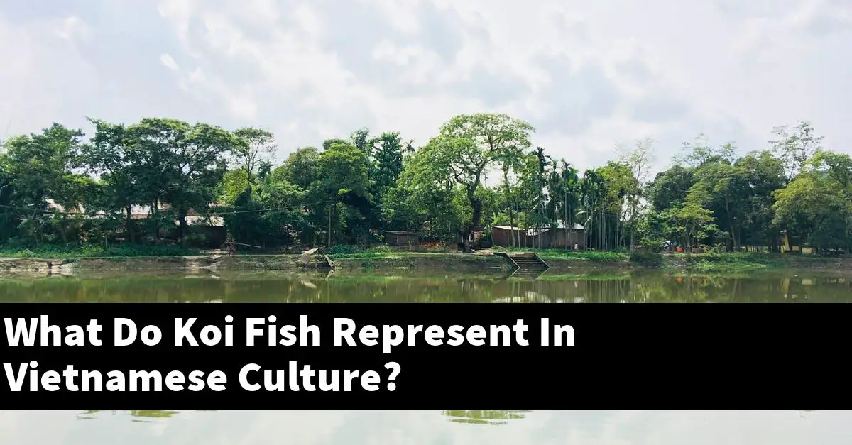 What Do Koi Fish Represent In Vietnamese Culture?