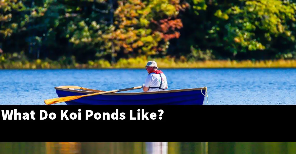 What Do Koi Ponds Like?