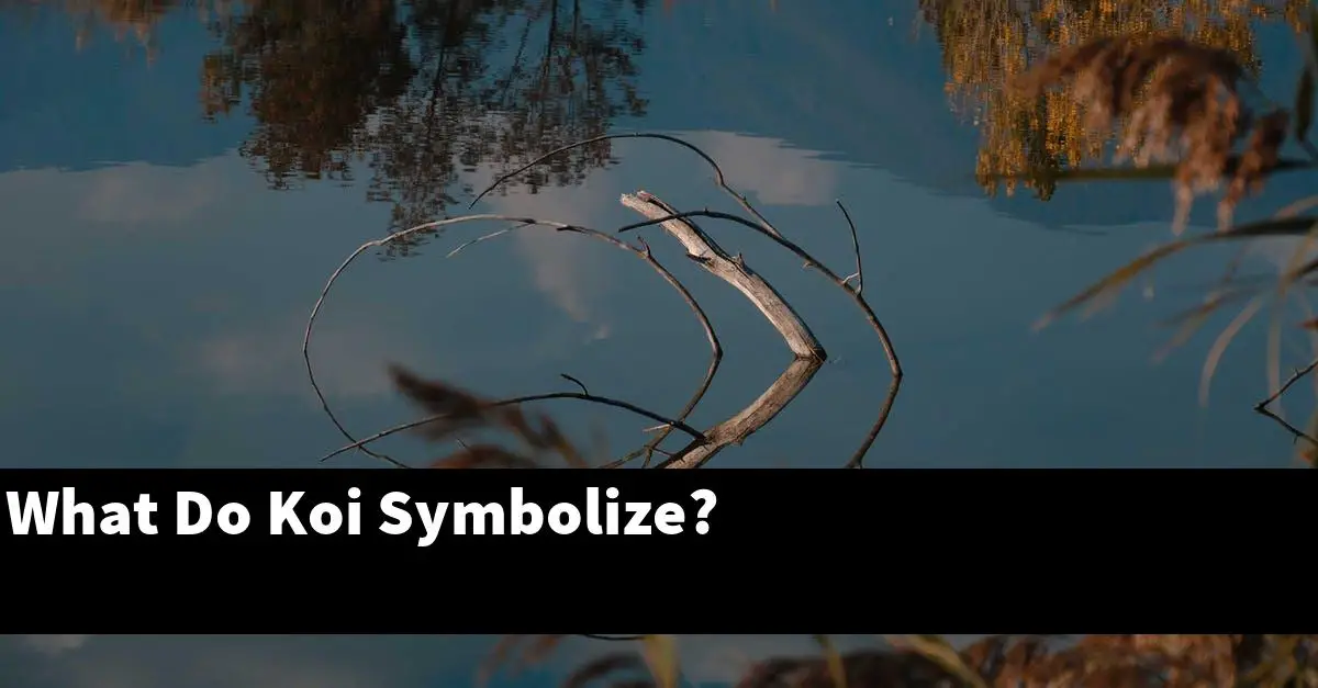 What Do Koi Symbolize?