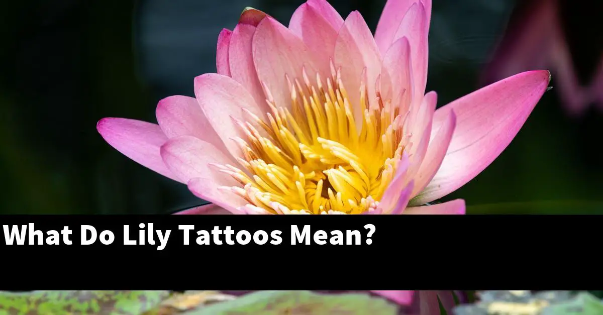 What Do Lily Tattoos Mean?
