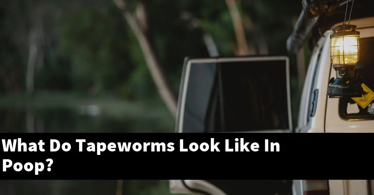 What Do Tapeworms Look Like In Poop?