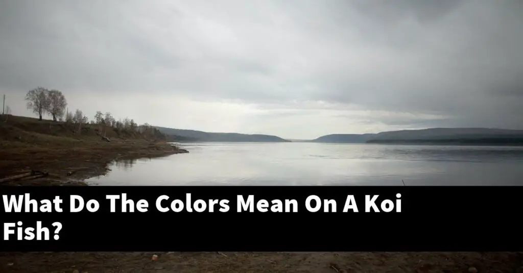 What Do The Colors Mean On A Koi Fish? [2024 Guide] Gold Koi Fish