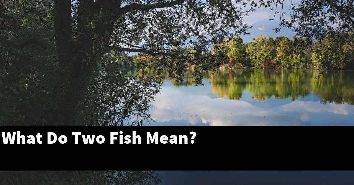 What Do Two Fish Mean?
