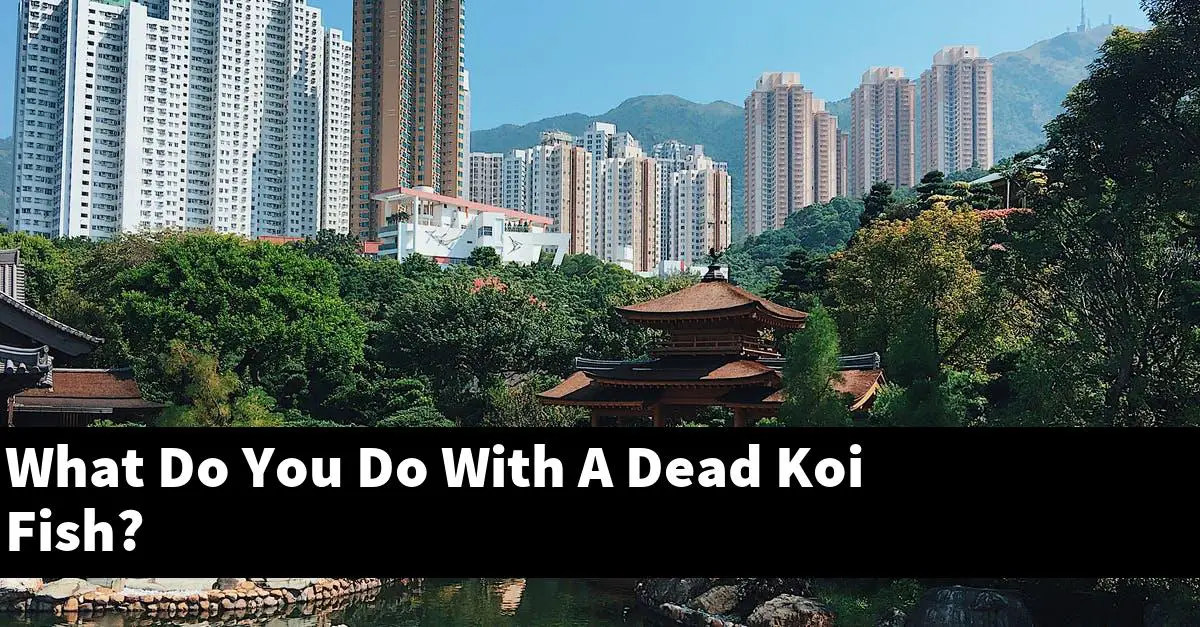 What Do You Do With A Dead Koi Fish?