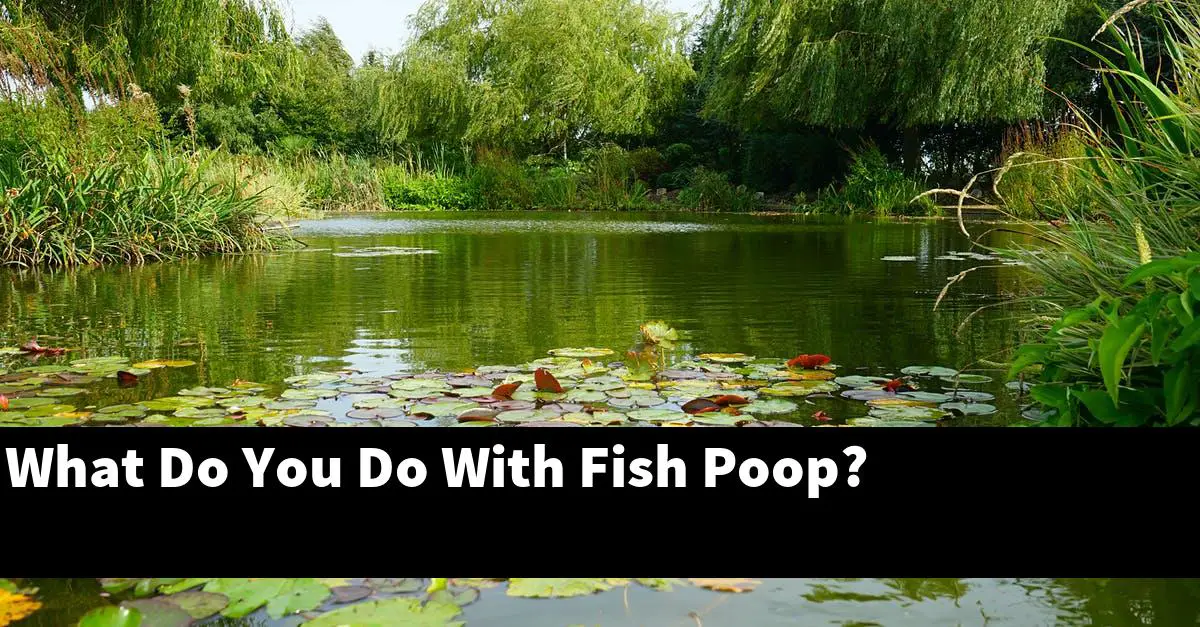 What Do You Do With Fish Poop?