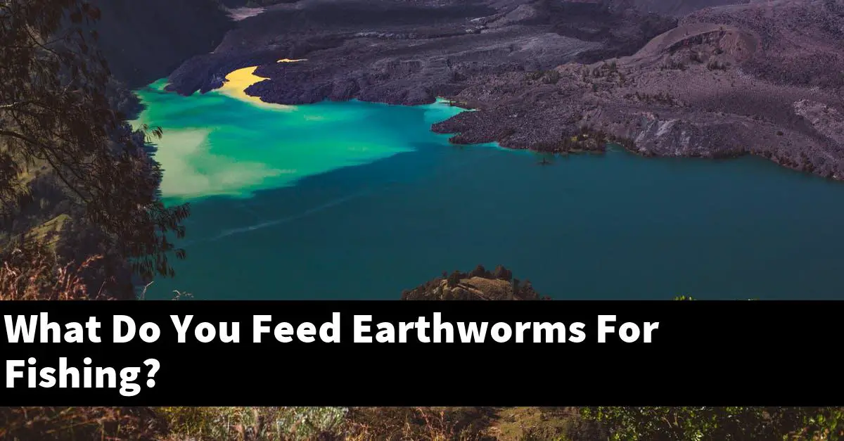 What Do You Feed Earthworms For Fishing?