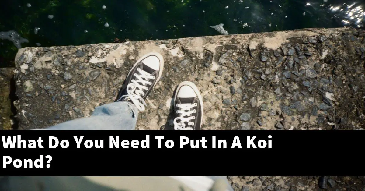 What Do You Need To Put In A Koi Pond?