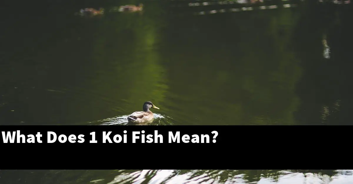 What Does 1 Koi Fish Mean?