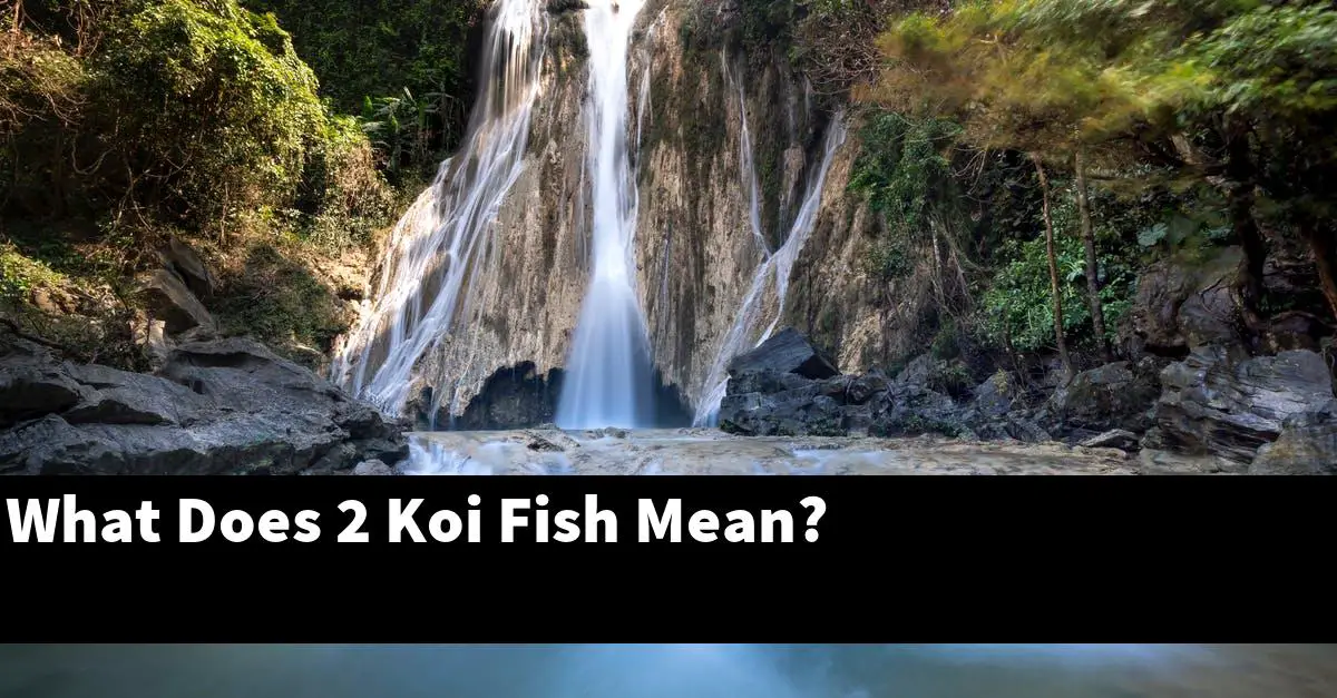 What Does 2 Koi Fish Mean?