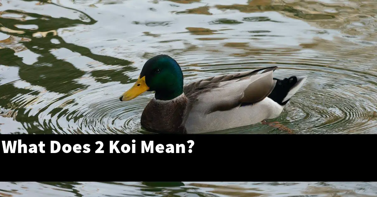 What Does 2 Koi Mean?
