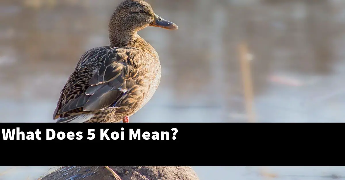 What Does 5 Koi Mean?