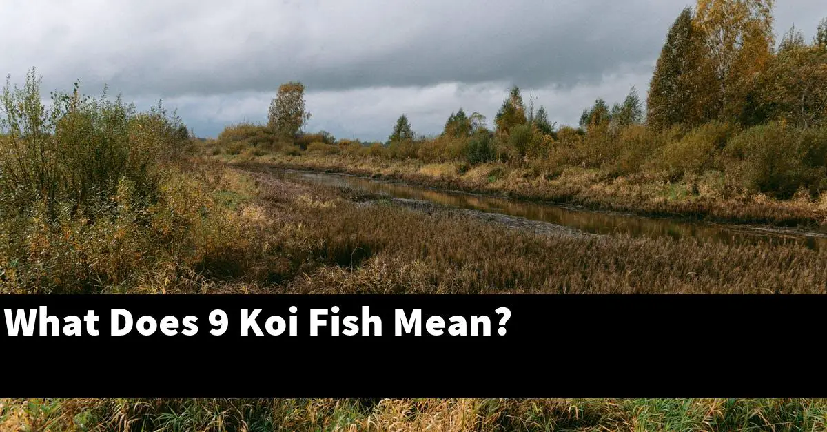 What Does 9 Koi Fish Mean?