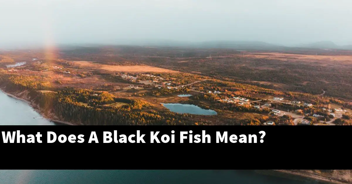 What Does A Black Koi Fish Mean?
