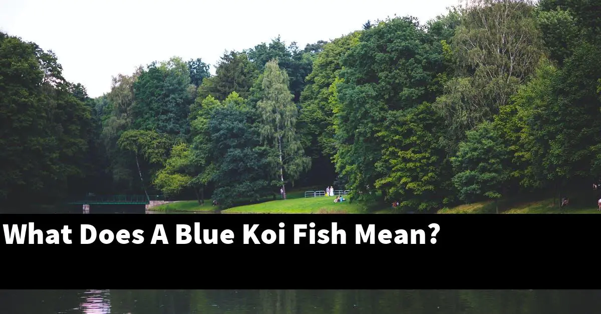 What Does A Blue Koi Fish Mean?