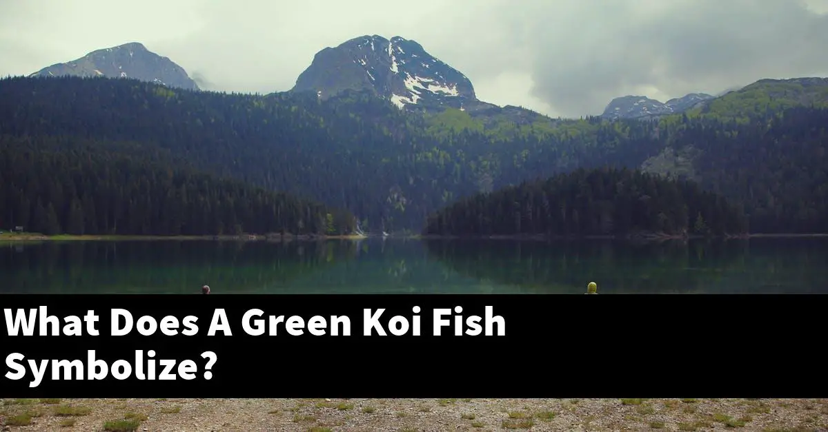 What Does A Green Koi Fish Symbolize?