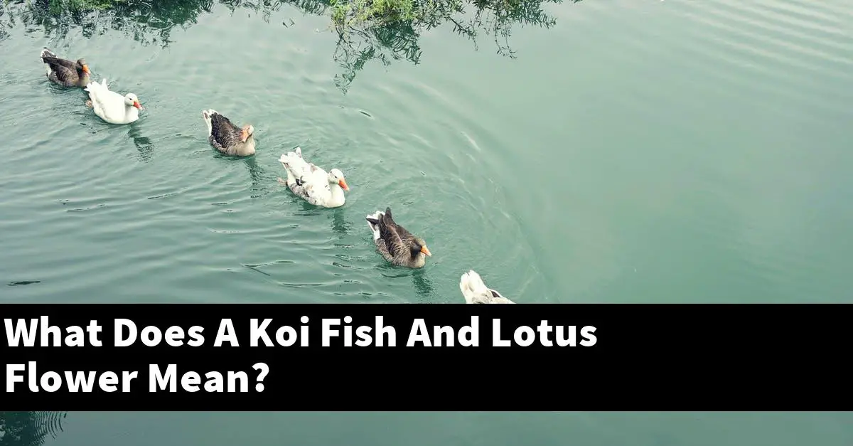 What Does A Koi Fish And Lotus Flower Mean?