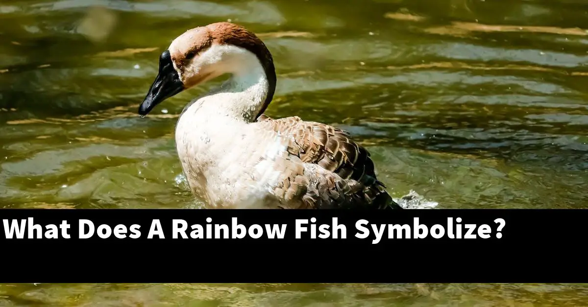 What Does A Rainbow Fish Symbolize?