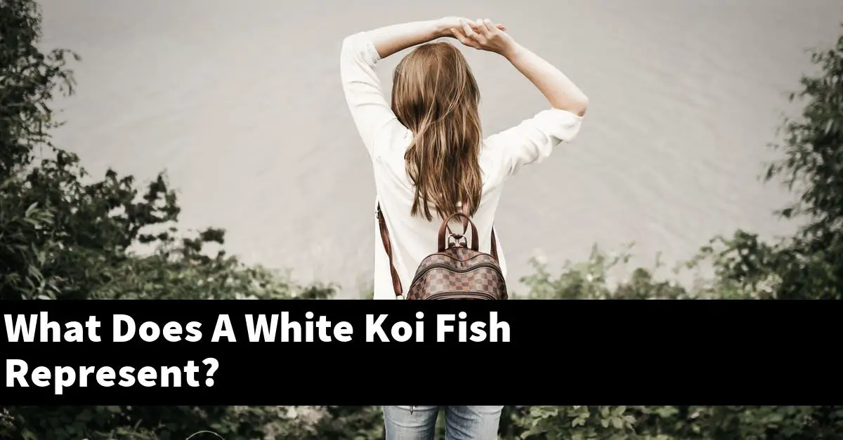 What Does A White Koi Fish Represent?