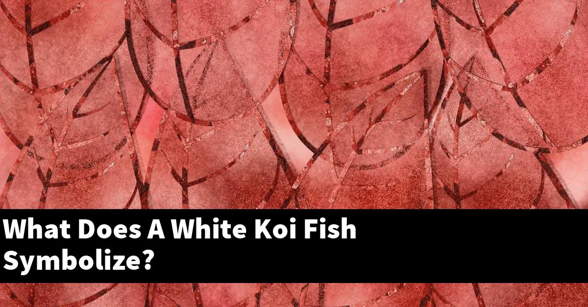 What Does A White Koi Fish Symbolize?