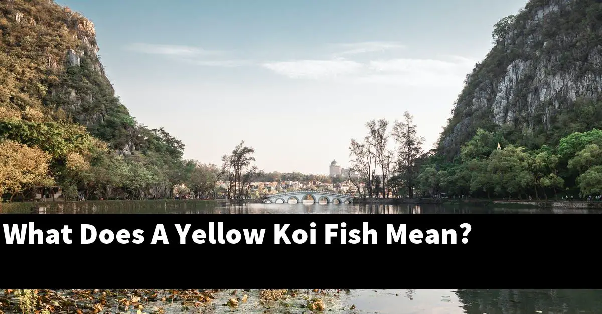 What Does A Yellow Koi Fish Mean?