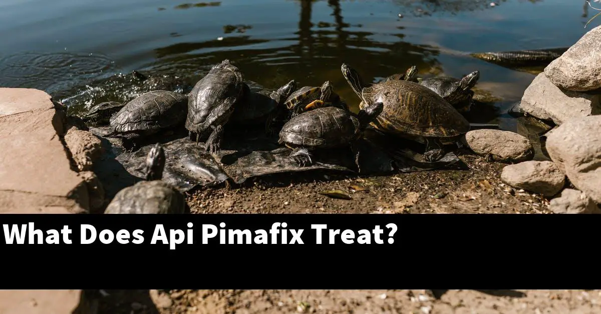 What Does Api Pimafix Treat?