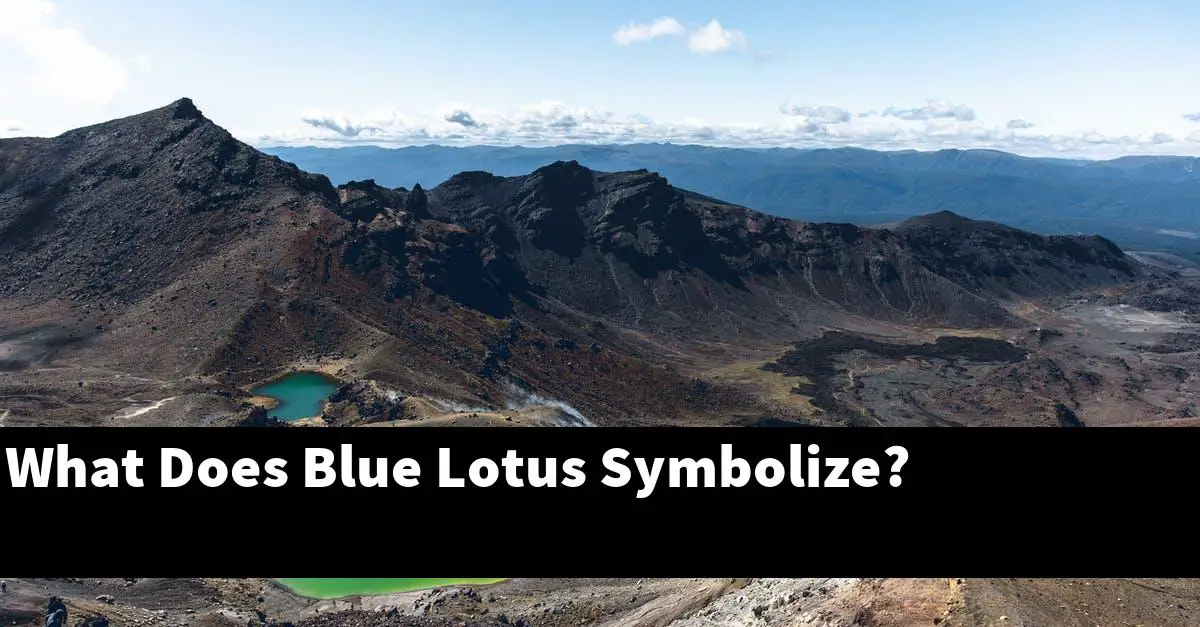 What Does Blue Lotus Symbolize?