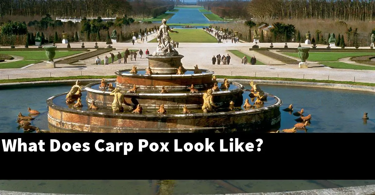 What Does Carp Pox Look Like?