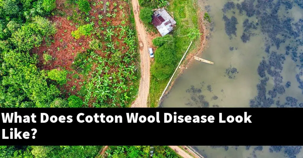 cotton-wool-meaning-youtube