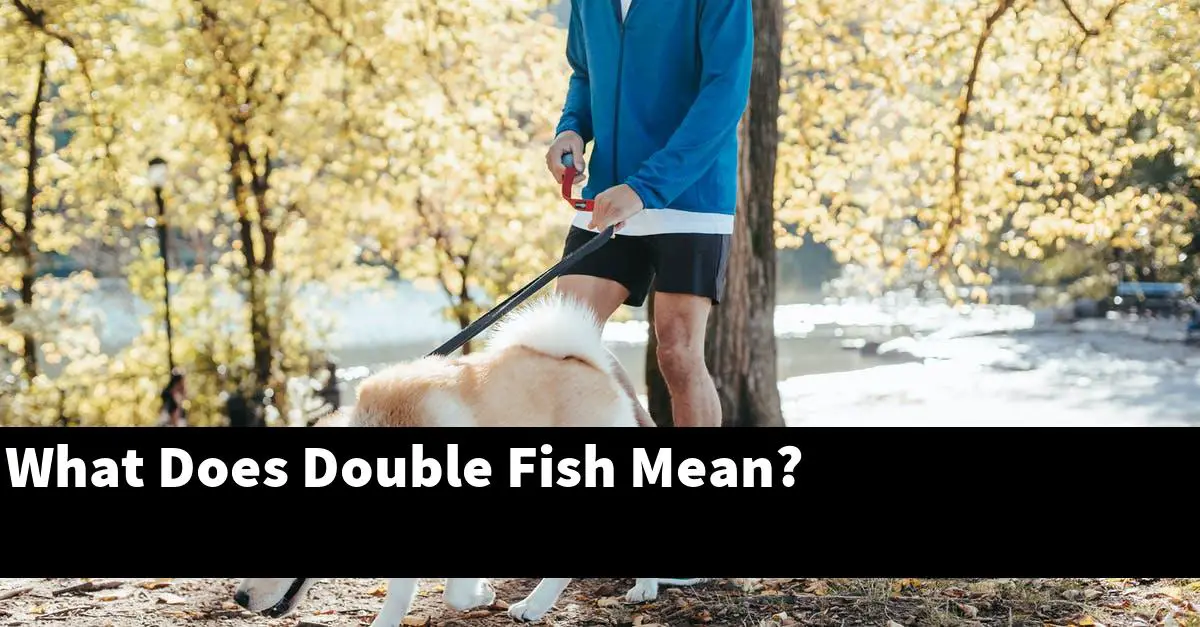 What Does Double Fish Mean?