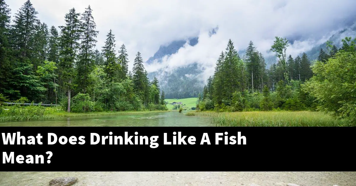 What Does Drinking Like A Fish Mean?
