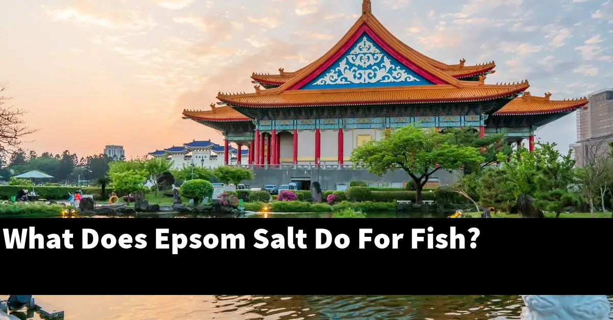 What Does Epsom Salt Do For Fish?