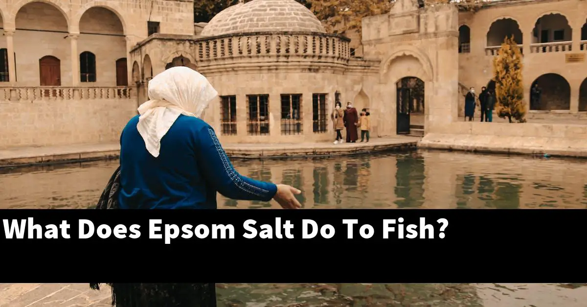 What Does Epsom Salt Do To Fish?