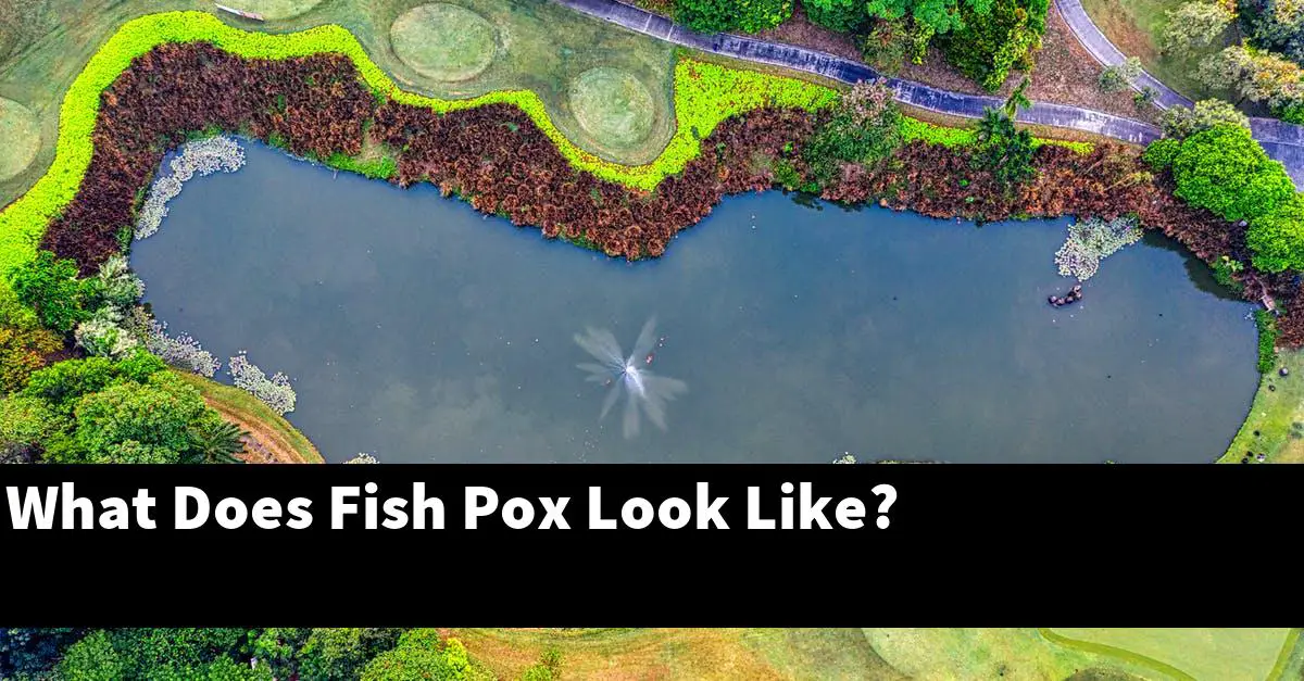 What Does Fish Pox Look Like?